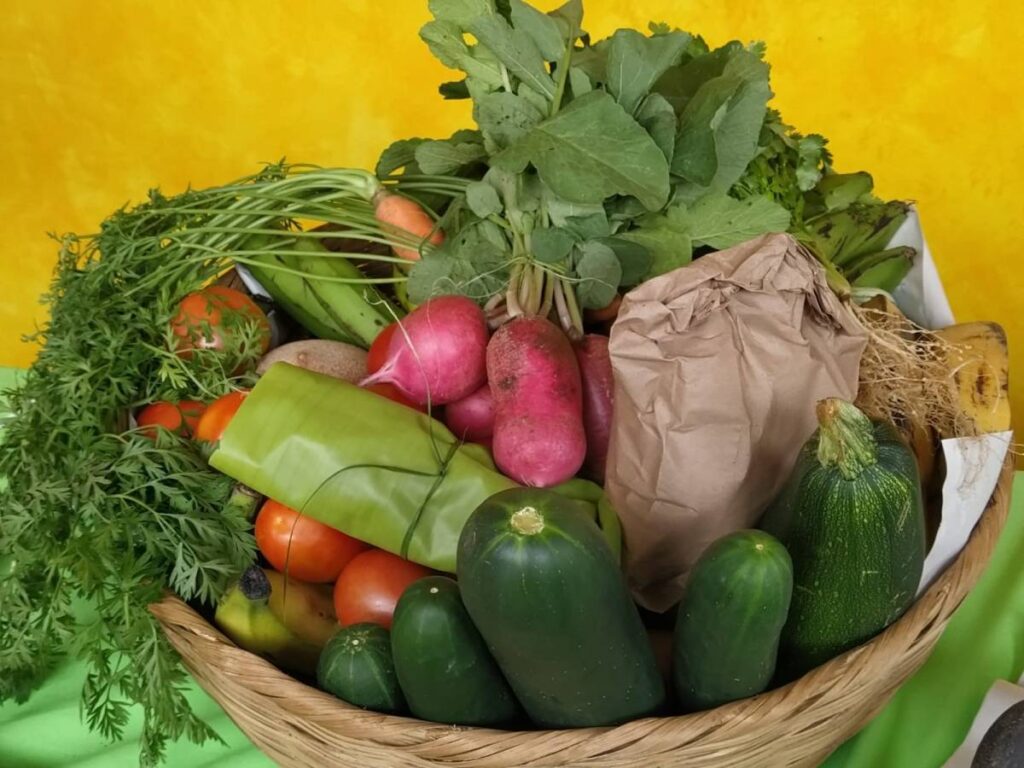 Nullam bibendum risus a ante tempor tempus. Aliquam accumsan facilisis iaculis. Cistella ecològica de la Canasta Campesina | Ana Basanta