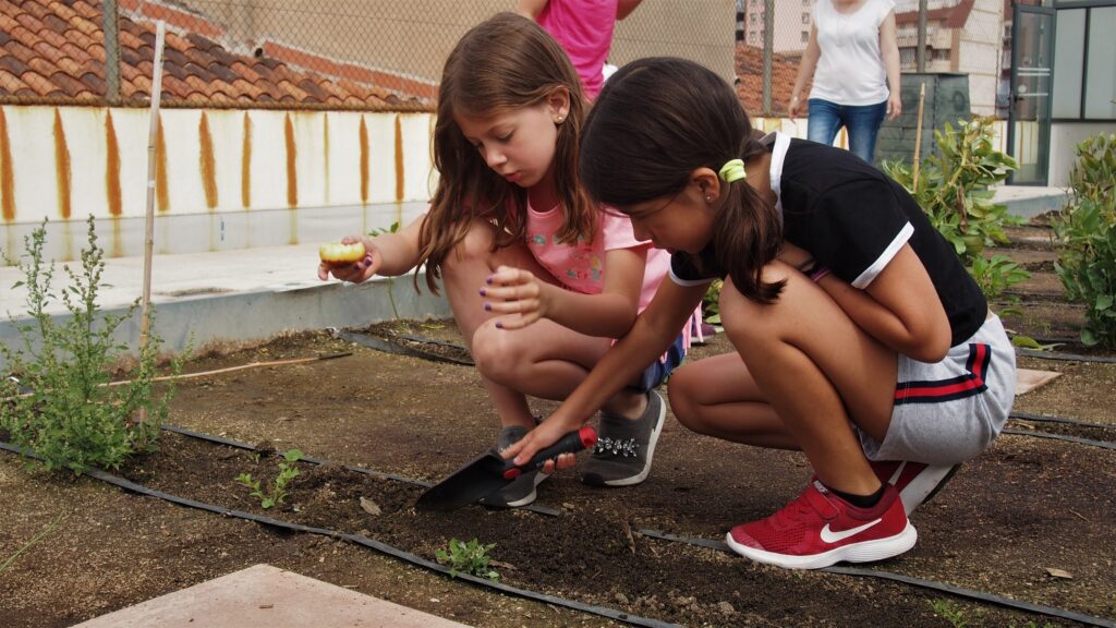 Membres de la cooperativa d'alumnes VerduraIM cuidant l'hort