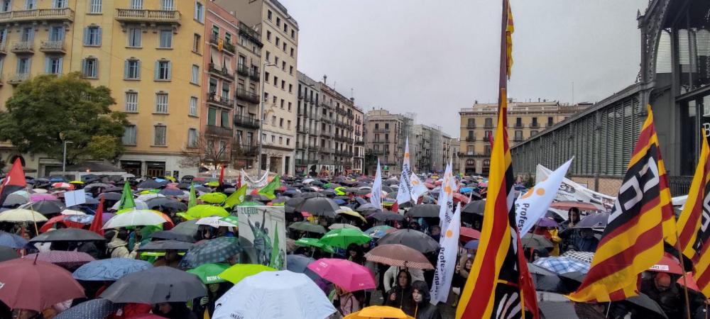 manifestacio educacio