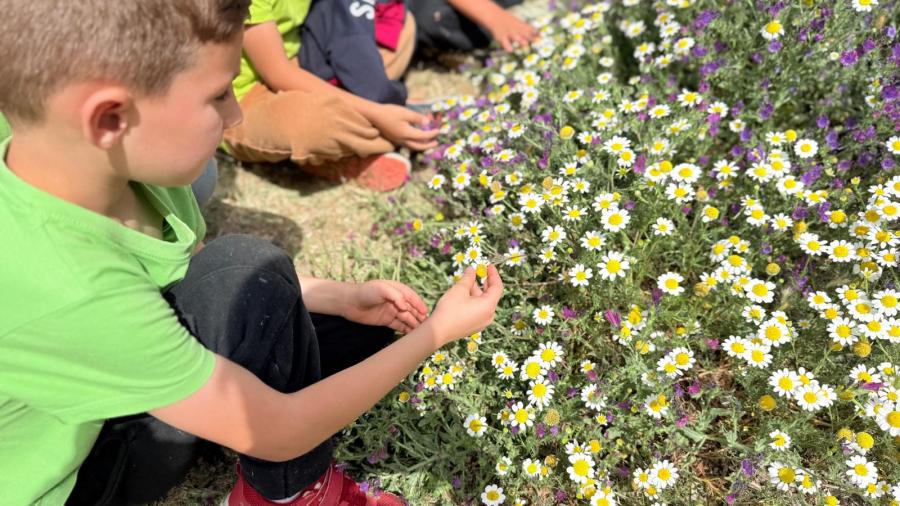 OpinióL’escola que encara ens pot salvar